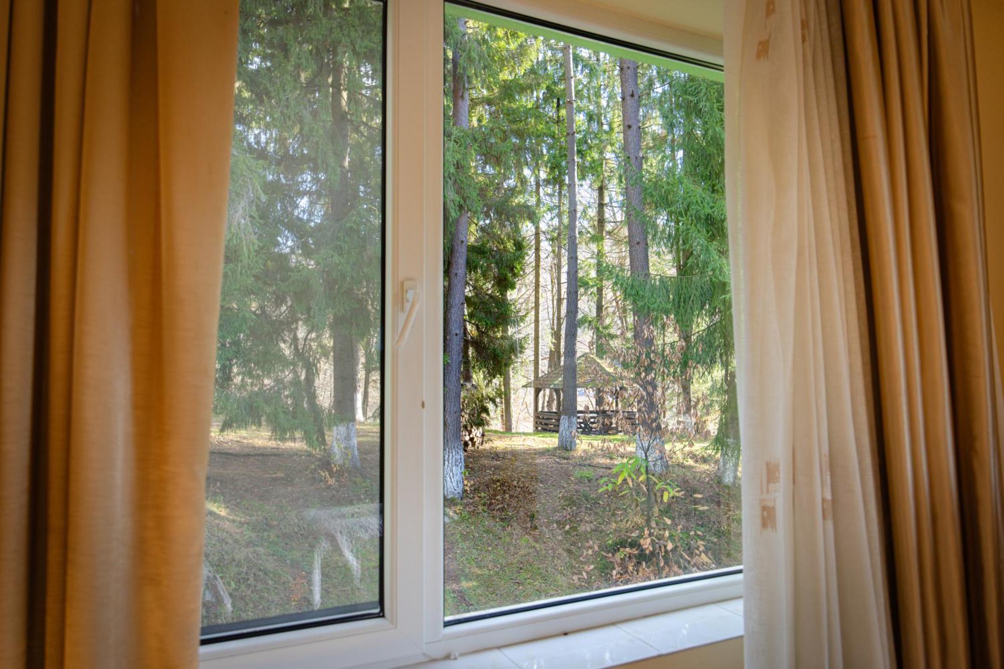 Pensiunea Limpedea Baia Sprie Zimmer foto