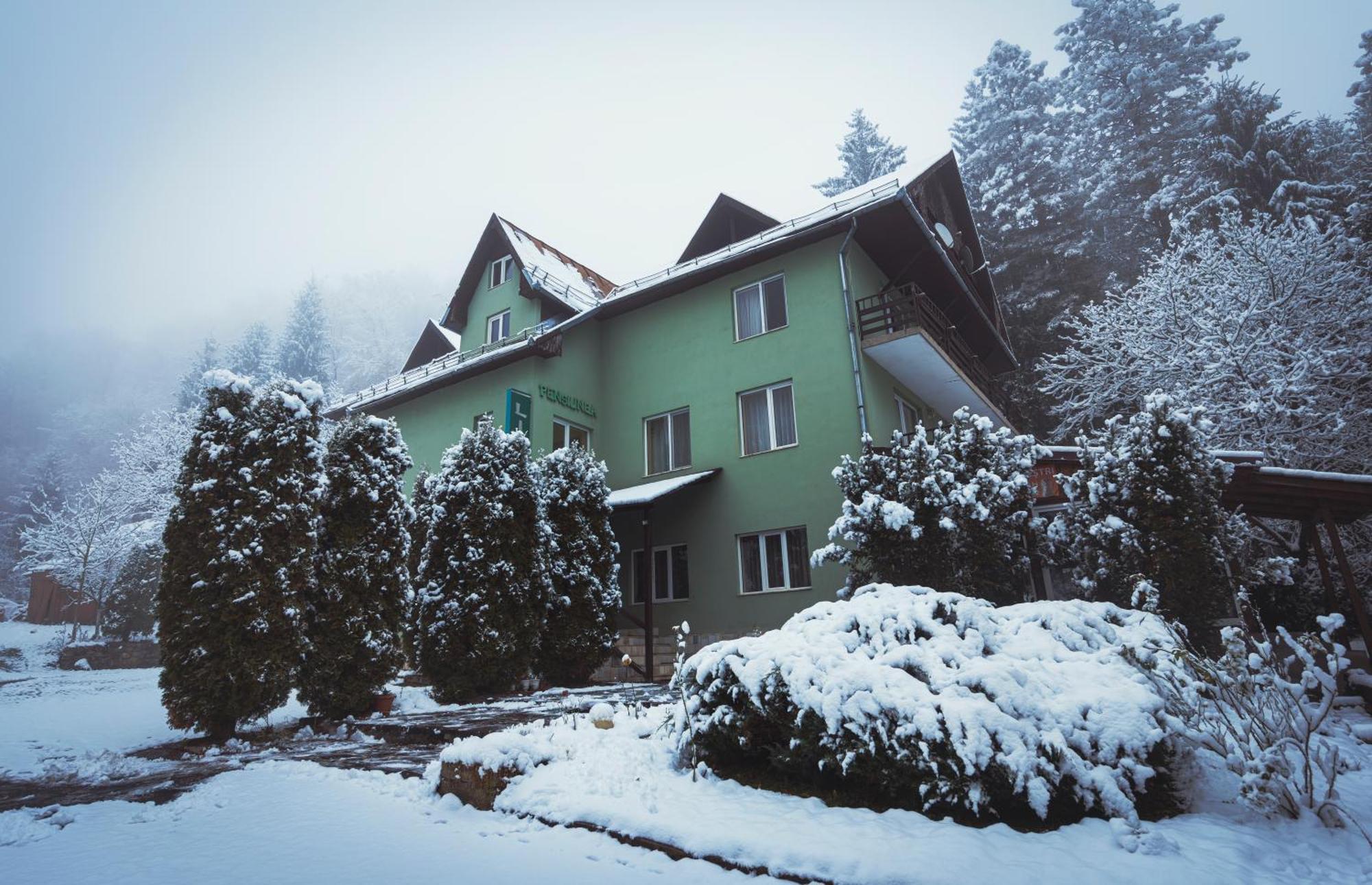 Pensiunea Limpedea Baia Sprie Exterior foto